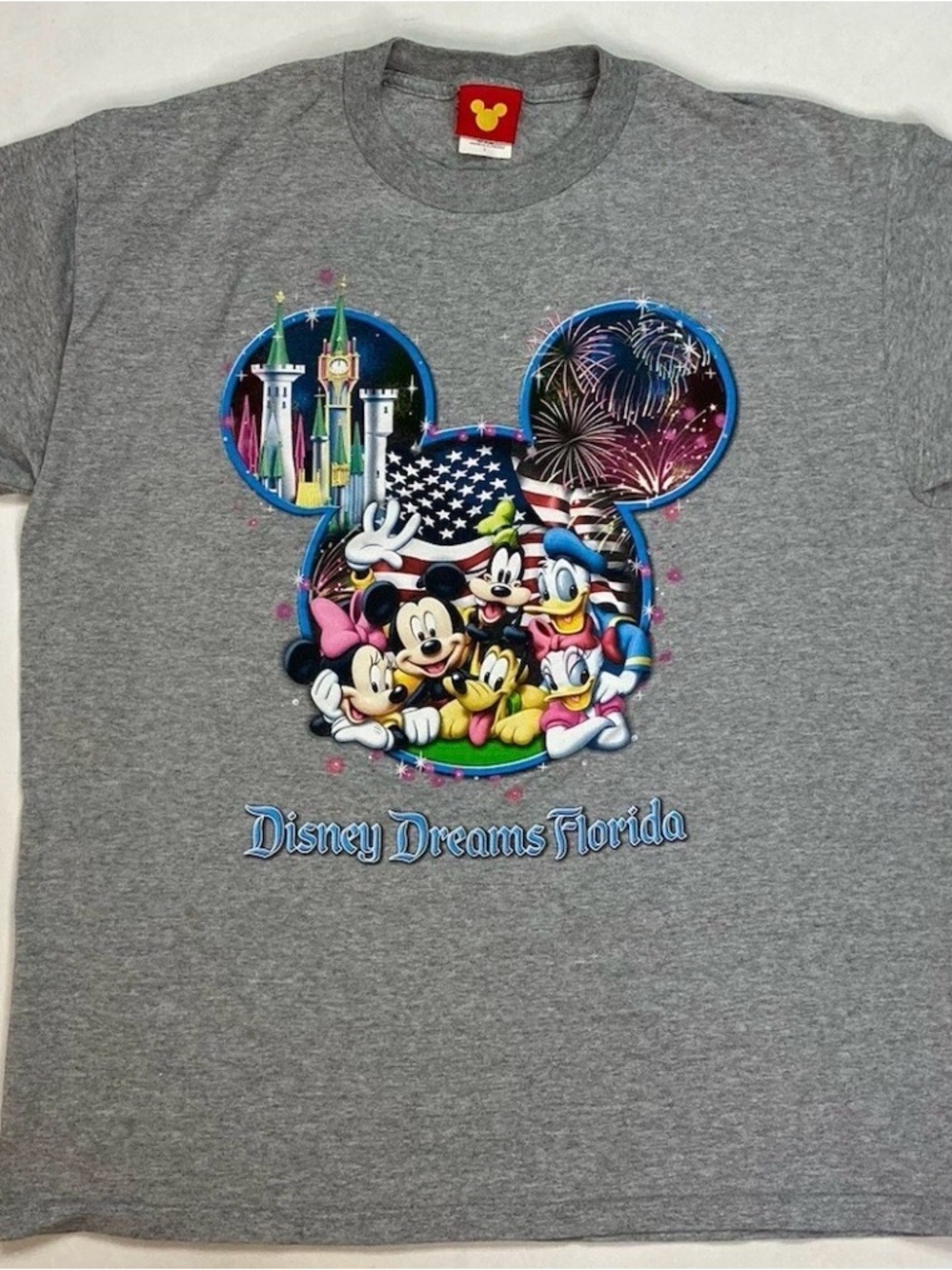 Disney Gray Mickey & Friends 'Disney Dreams Florida' Short Sleeve Tee